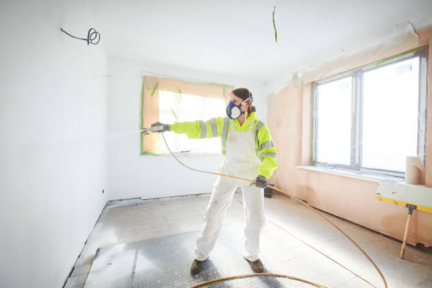 Trusted Four Oaks, NC Mold Removal Experts