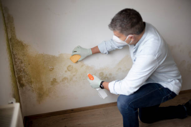 Best Mold-Related Health Consultation  in Four Oaks, NC