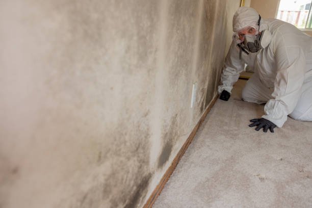 Best Biohazard Mold Removal  in Four Oaks, NC